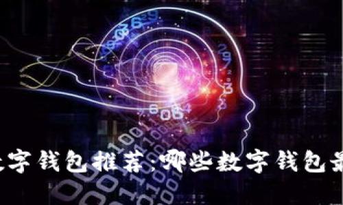 中国数字钱包推荐：哪些数字钱包最好用？