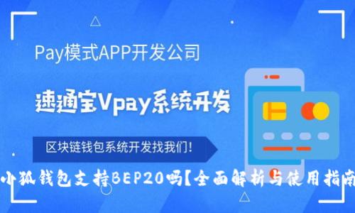 小狐钱包支持BEP20吗？全面解析与使用指南