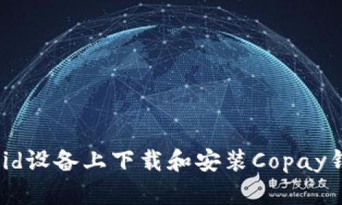 如何在Android设备上下载和安装Copay钱包：全面指南