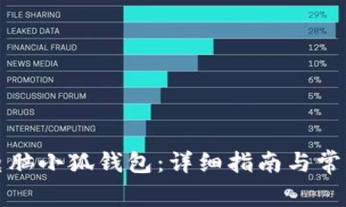 如何安装电脑小狐钱包：详细指南与常见问题解答