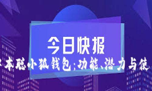 探索中本聪小狐钱包：功能、潜力与使用指南