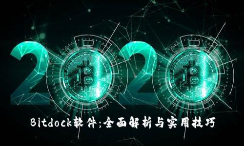 Bitdock软件：全面解析与实用技巧