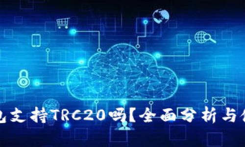 小狐钱包支持TRC20吗？全面分析与使用指南