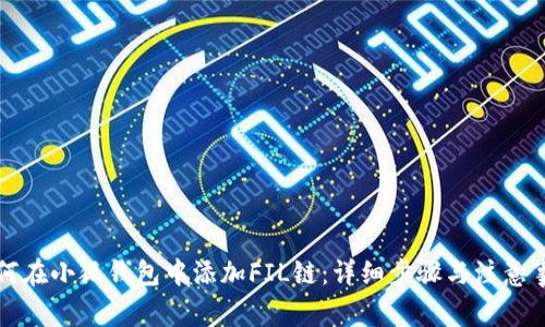 如何在小狐钱包中添加FIL链：详细步骤与注意事项