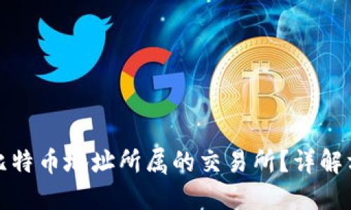 如何查询比特币地址所属的交易所？详解方法与技巧