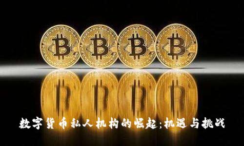 数字货币私人机构的崛起：机遇与挑战