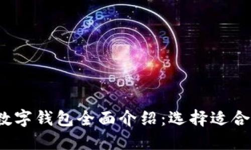 2023年最新数字钱包全面介绍：选择适合你的支付工具