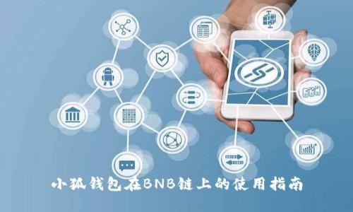 小狐钱包在BNB链上的使用指南