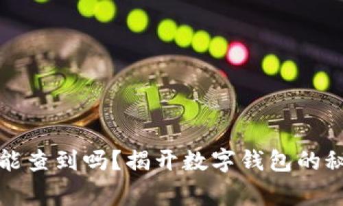 小狐钱包警察能查到吗？揭开数字钱包的秘密与隐私保护