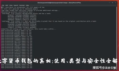 数字货币钱包的真相：使用、类型与安全性全解析