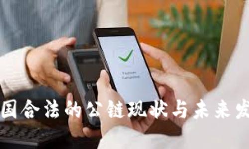 中国合法的公链现状与未来发展
