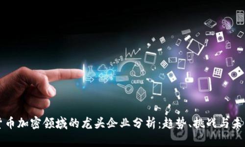 数字货币加密领域的龙头企业分析：趋势、挑战与未来展望