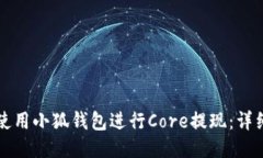 如何使用小狐钱包进行C