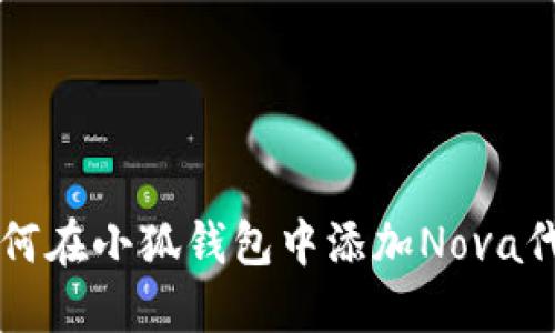 如何在小狐钱包中添加Nova代币