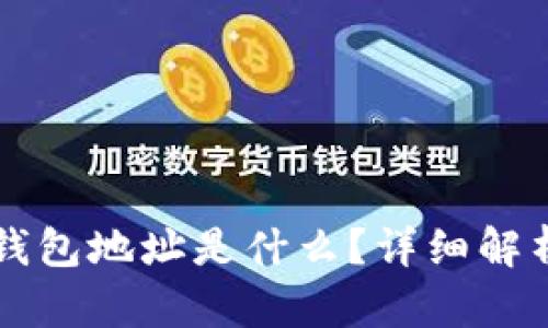虚拟币提取钱包地址是什么？详细解析与操作指南