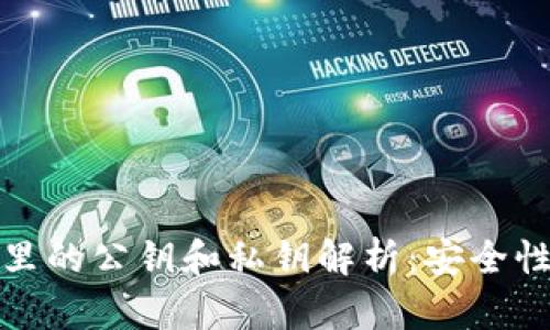 : 小狐钱包里的公钥和私钥解析：安全性与使用指南